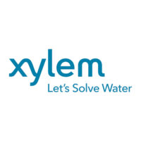 xylem